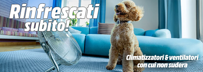 Rinfrescati subito! Climatizzatori & ventilatori con cui non sudera