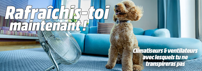 Rafraîchis-toi maintenant ! Climatiseurs & ventilateurs avec lesquels tu ne transpireras pas