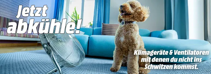 Jetzt abkühle! Klimageräte und Ventilatoren mit denen du nicht ins Schwitzen kommst.
