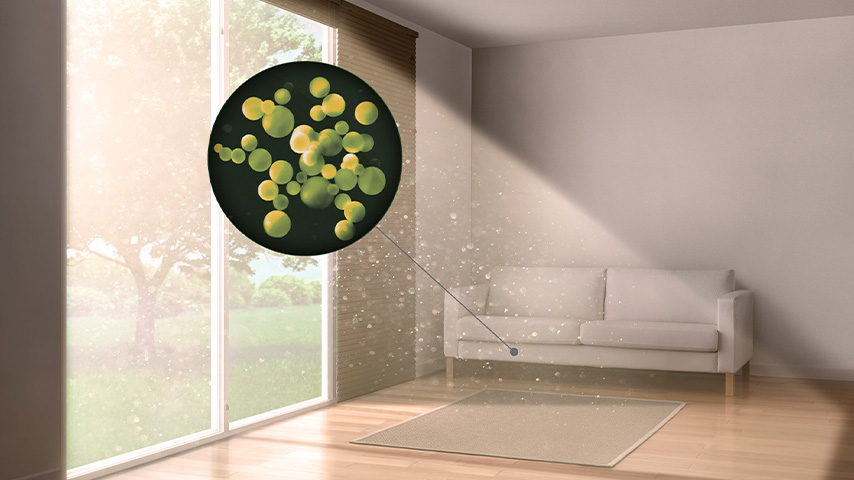 Salon lumineux avec canapé et tapis beiges. Une fenêtre donne sur un jardin. Un cercle noir montre des sphères vertes et jaunes.
