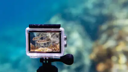 Un appareil photo sous-marin se trouve dans l’eau ; deux poissons qui nagent sont visibles sur son écran.