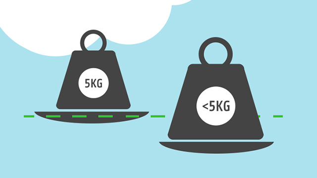 Zwei schwarze Gewichte auf Waagen, das linke mit "5KG", das rechte mit "<5KG". Eine grüne Linie zeigt den Unterschied.