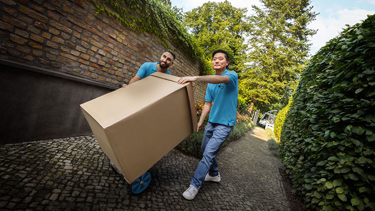 Zwei Personen tragen eine große, braune Pappschachtel auf einem gepflasterten Weg, flankiert von einer Ziegelmauer und grünen Hecken.