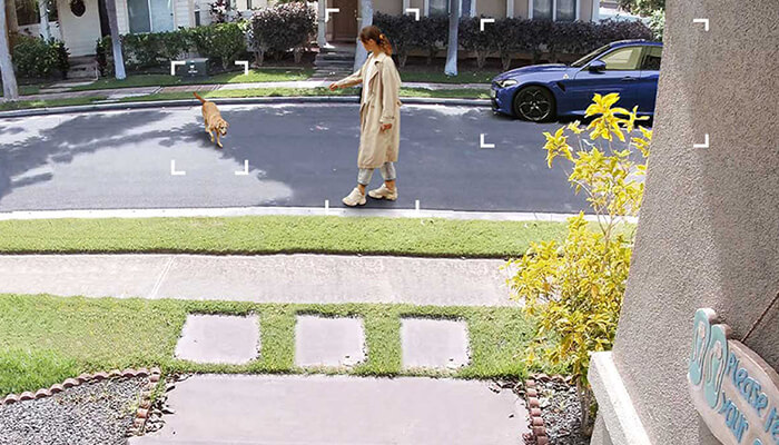 Eine Frau in einem Mantel geht mit einem Hund auf einer Straße entlang. Ein blaues Auto steht am Straßenrand.