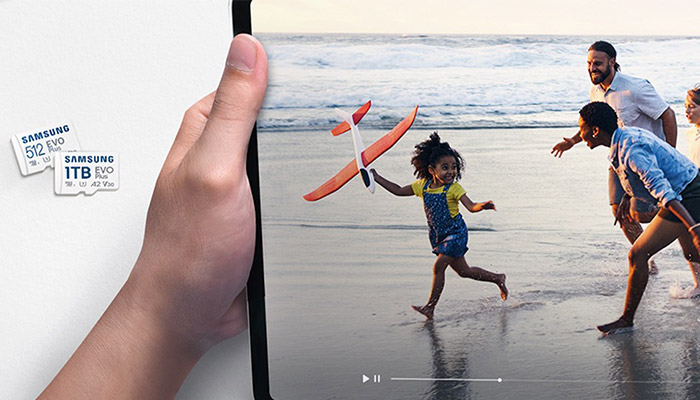 Nahaufnahme eines Monitors, auf dem ein Foto einer spielenden Familie abgebildet ist, daneben zwei Speicherkarten von Samsung.