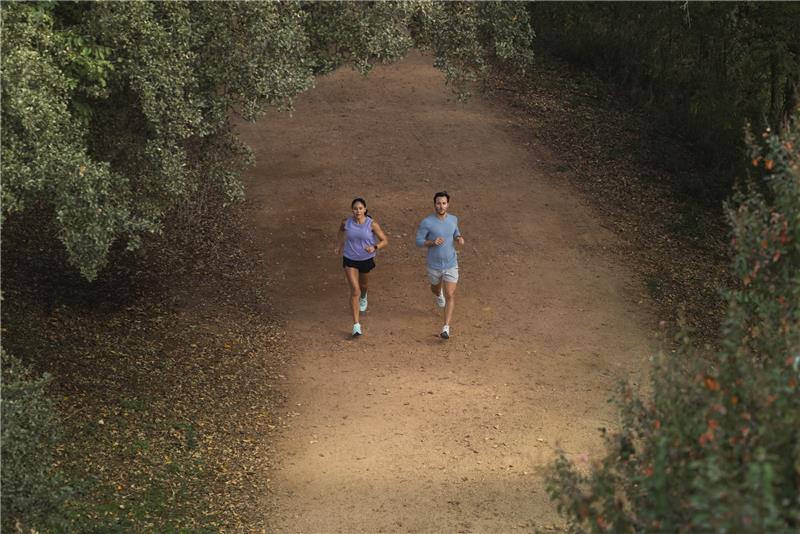  Zwei Personen joggen nebeneinander auf einem Waldweg, umgeben von dichtem Grün.