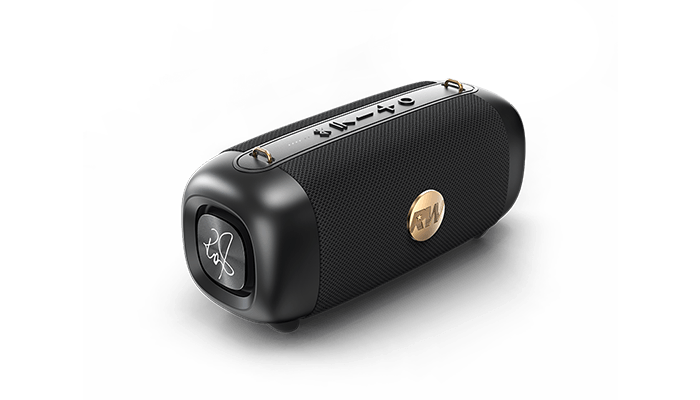 ICONIC VIBE 1 True Wireless Speaker