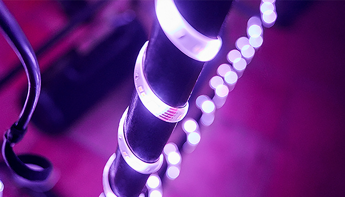 Detailaufnahme eines Hama Lightstips, der violett leuchtet.