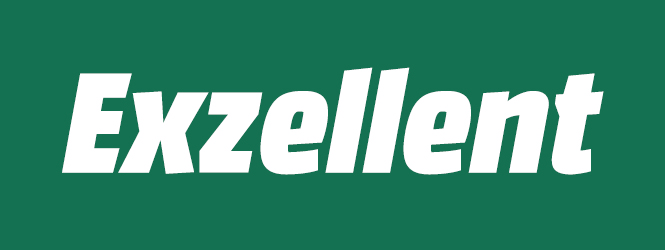 Grünes Bild mit dem Wort "Exzellent".