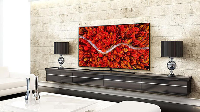 Ein Wohnzimmer mit einem großen Fernseher, der rote Blätter zeigt, steht auf einem schwarzen Schrank mit zwei schwarzen Lampen.