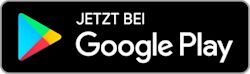 Google Play Store Logo