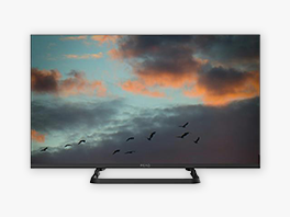 Fernseher