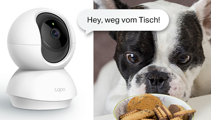 Eine weiße Überwachungskamera neben einem Hund, der einen Teller mit Keksen anstarrt, mit der Aufschrift "Hey, weg vom Tisch!".