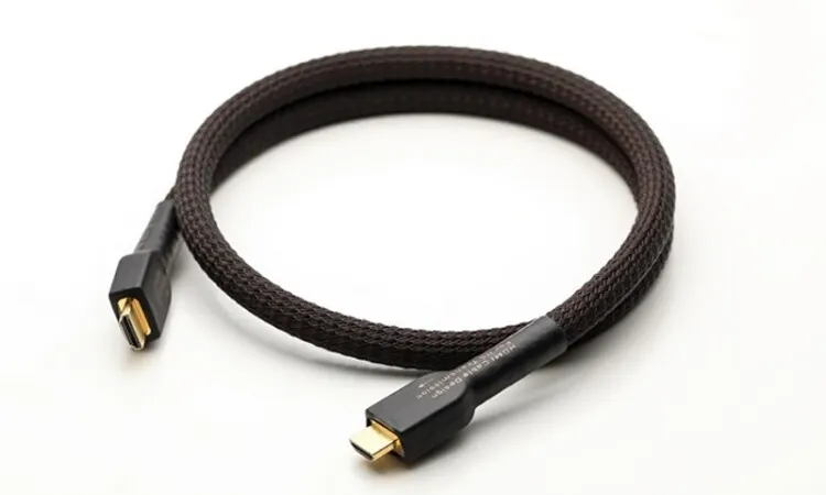 Cavo nero intrecciato con connettori placcati oro su sfondo bianco.