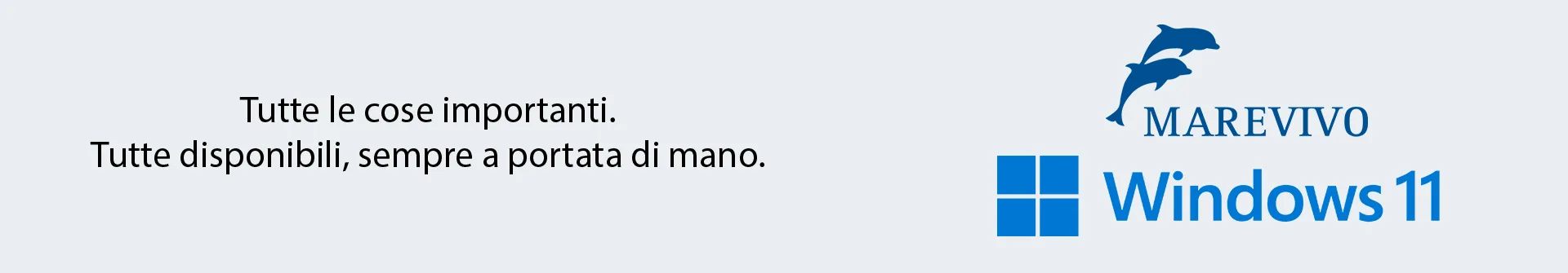 marevivo / windows 11