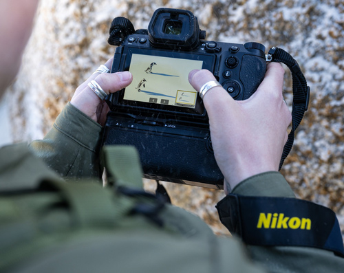 Fotocamera Nikon nera in mano con schermo acceso. Cinturino nero con scritta "Nikon" gialla. Sfondo di rocce chiare.