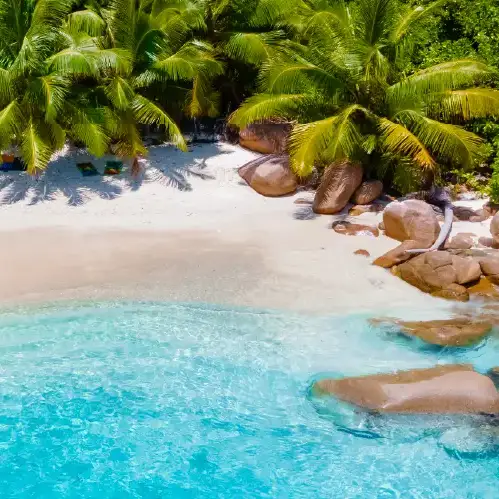 Spiaggia immersa tra le palme
