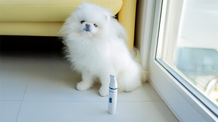 Igiene e Cura Animali 