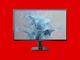 Monitor