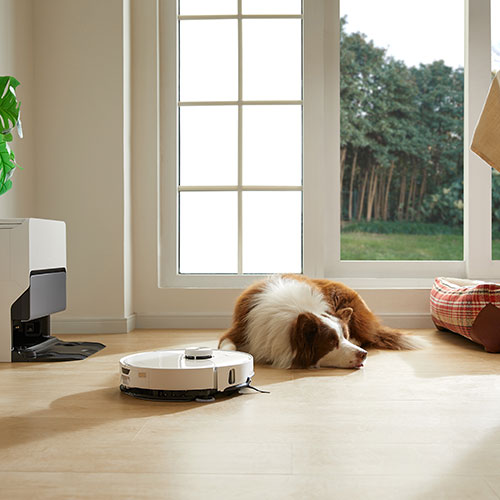 Interno luminoso con cane disteso vicino a finestra e robot aspirapolvere bianco in funzione vicino alla sua base di ricarica.