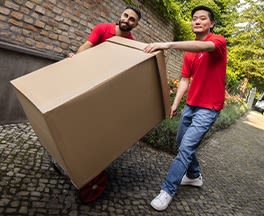 Product image of category Consegna Gratuita