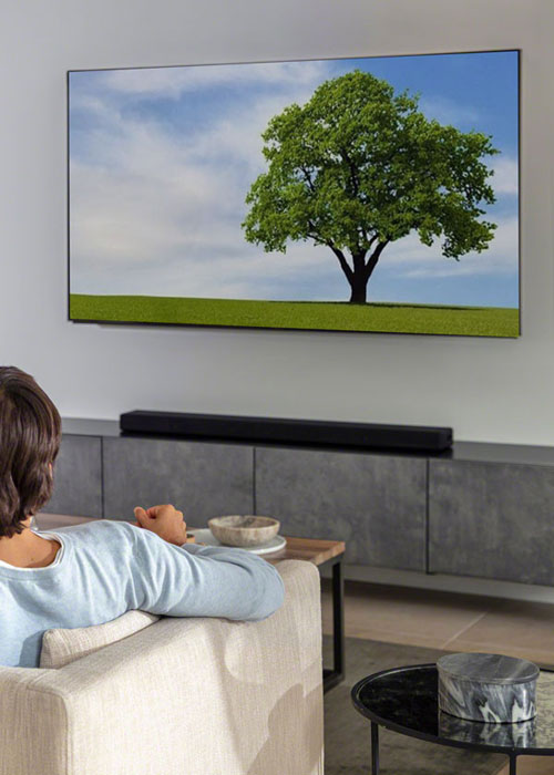 Donna seduta su divano bianco, guarda TV con albero su prato verde e cielo azzurro. Barra audio nera sotto TV.