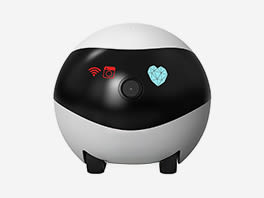 Pet Cam e GPS