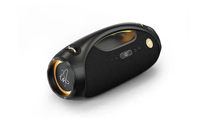 Altoparlante wireless ICONIC VIBE 2