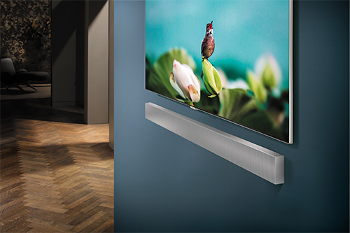 TV su muro blu con immagine di uccello su fiore. Sotto, barra audio grigia. In lontananza, stanza con pavimento in legno.