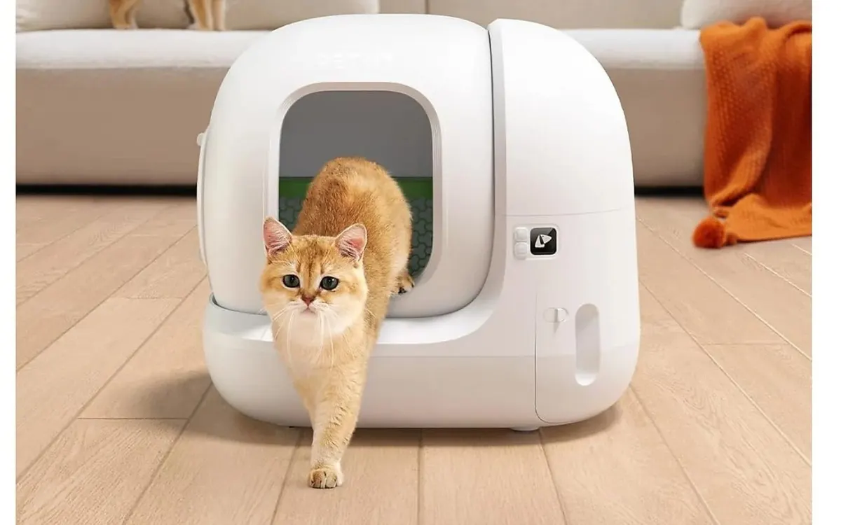 gatto in lettiera autopulente