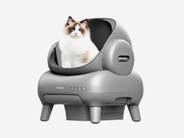 Lettiere Autopulenti