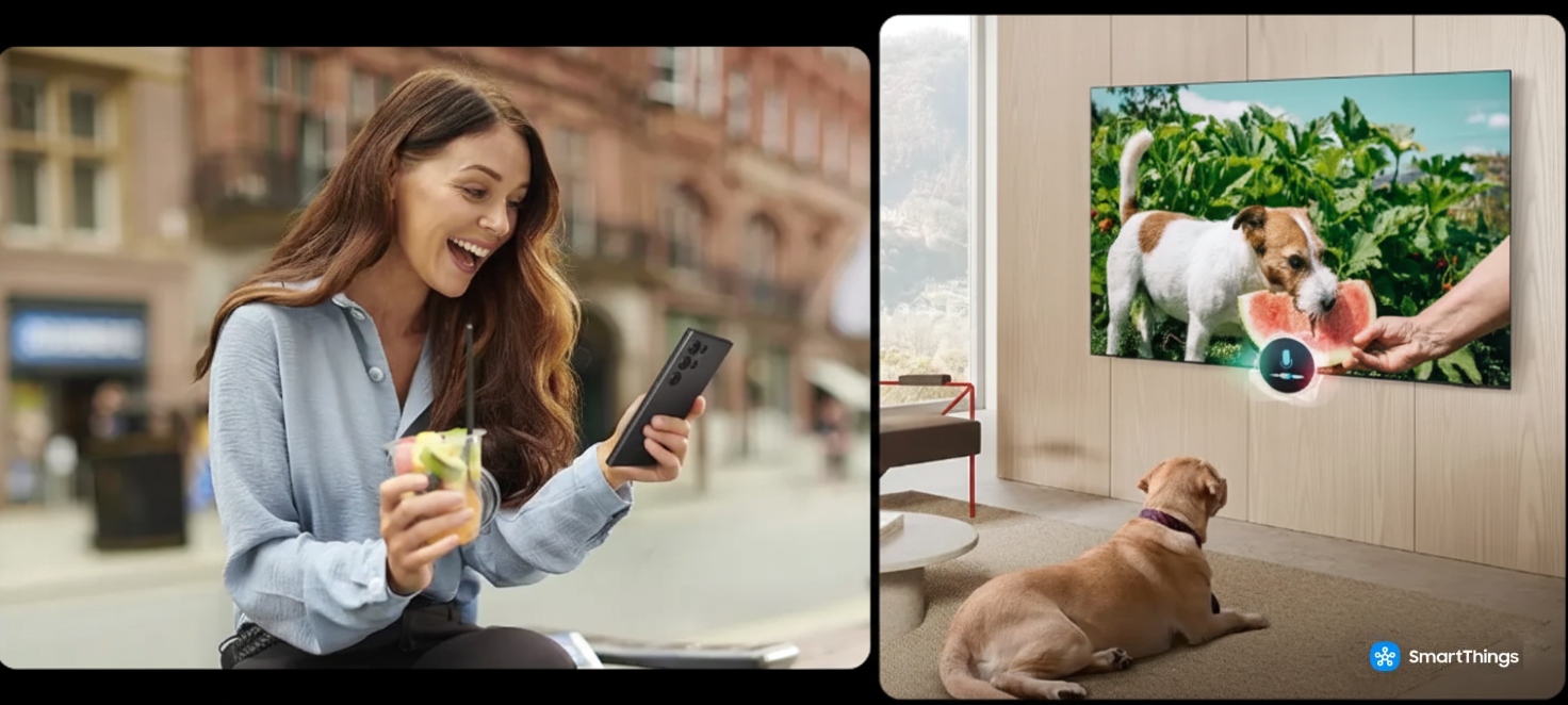 Collage di immagini, una donna con in mano un drink sorride guardando lo smartphone, un cane guarda la tv dove si vede un cane che morde un'anguria
