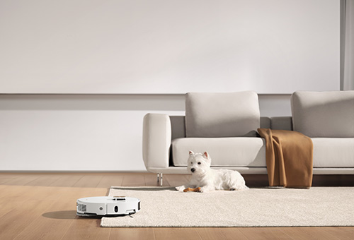 Cane bianco su tappeto chiaro, vicino a divano con coperta marrone. Un robot aspirapolvere bianco sul pavimento in legno.