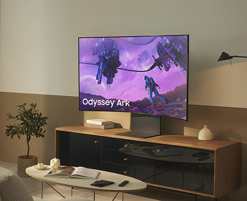 TV su mobile in stanza. Schermo mostra "Odyssey Ark" con personaggio fantastico. Pianta, tavolino con libri e telecomandi.