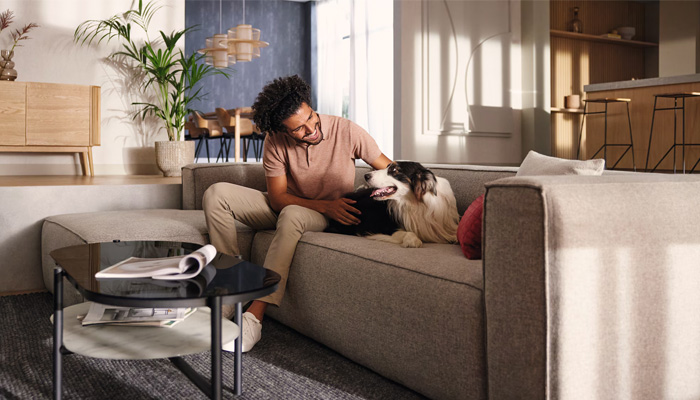 Uomo su divano grigio accarezza cane bianco e nero. Tavolino con rivista, mobile in legno e piante sullo sfondo.