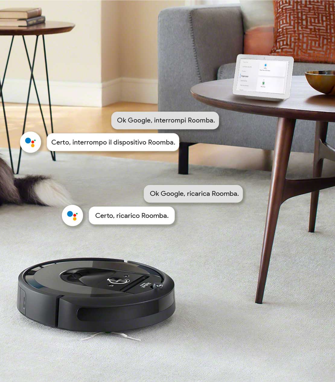 esempio comunicazione roomba - google