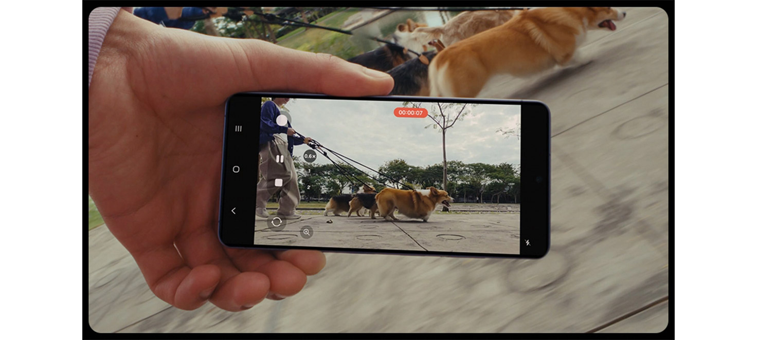 mano che tiene smartphone samsung galaxy s26 che riprende due cani a passeggio