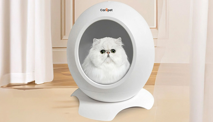 un gatto arancione all'interno di una lettiera nera