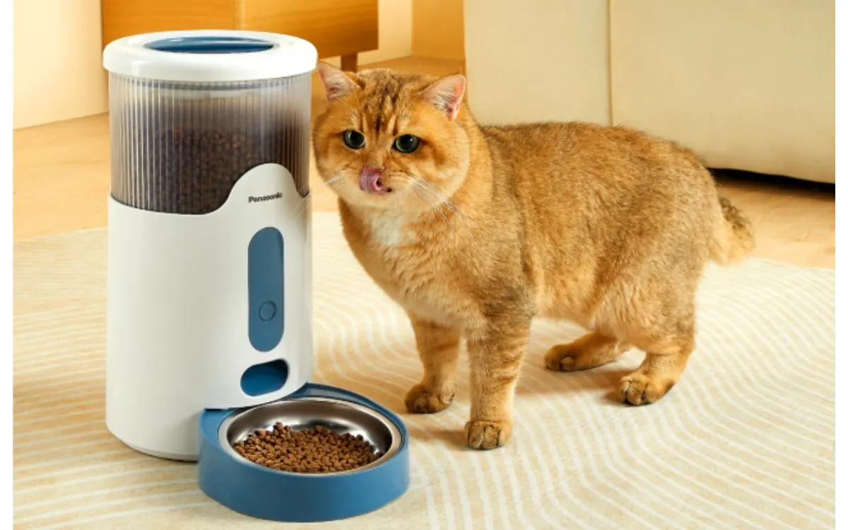 dosatore crocchette gatto