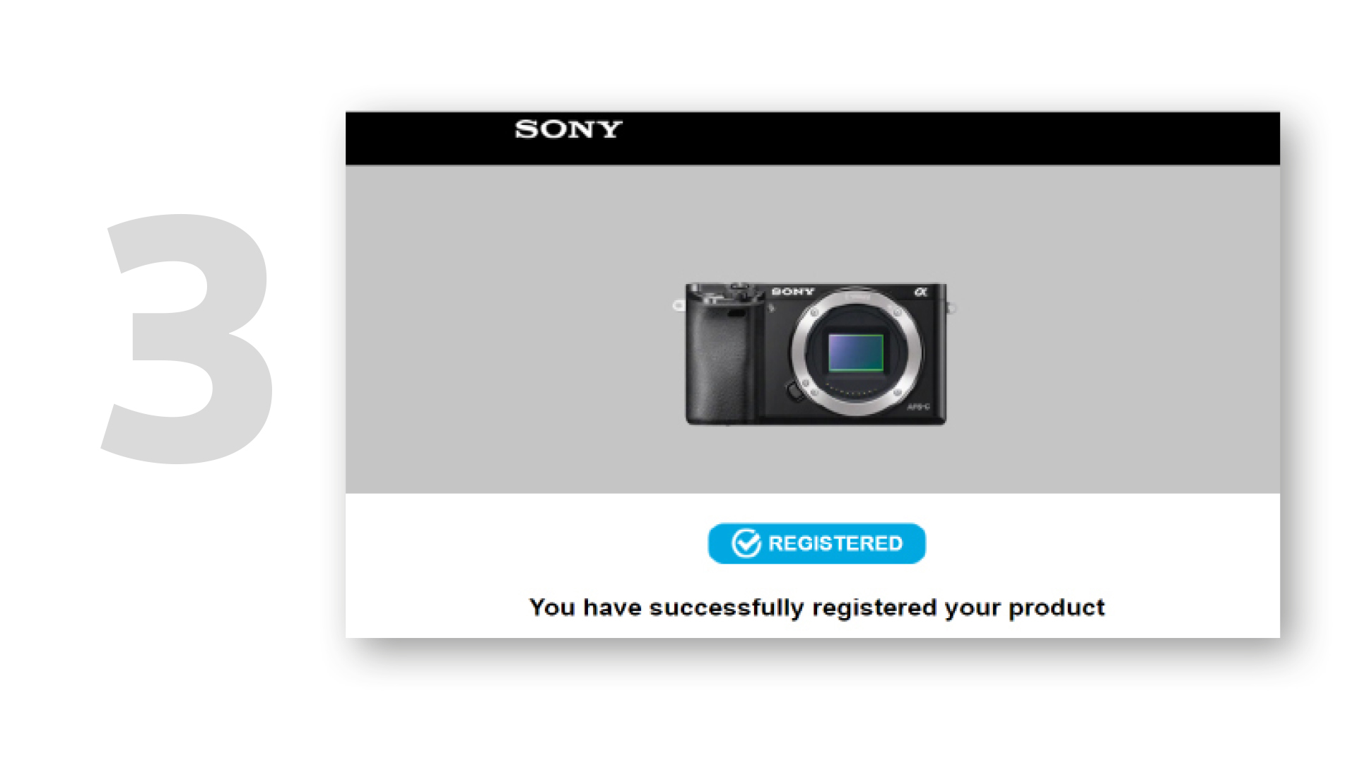 Schermata grigia con fotocamera Sony nera, testo di registrazione riuscita e il numero 3.