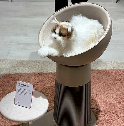 Gatto bianco e marrone seduto in una cuccia rotonda su un purificatore d'aria. Un tavolino rotondo con un cartello è di lato.