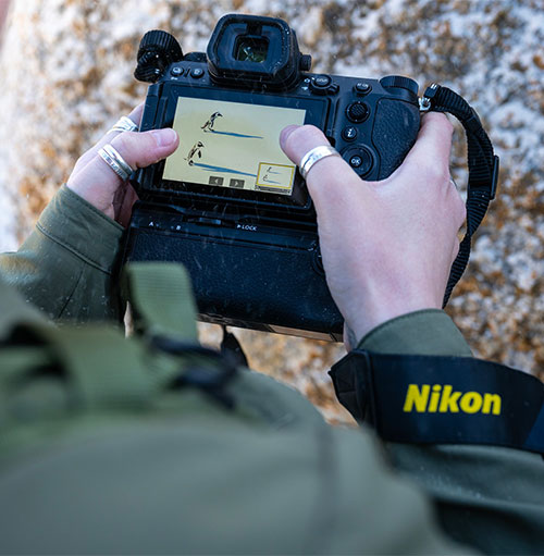 Una persona tiene in mano una fotocamera nera con uno schermo che mostra figure stilizzate. La tracolla nera ha la scritta "Nikon" in giallo.