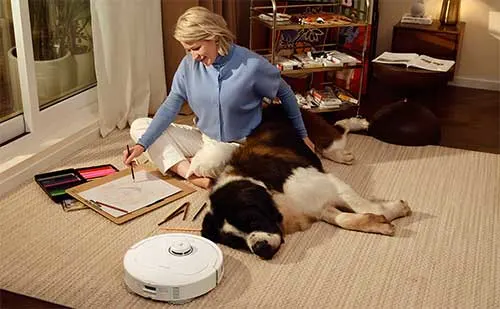 Donna seduta sul pavimento disegna vicino a un cane marrone, bianco e un aspirapolvere robot bianco. Sullo sfondo, scaffali e finestra.