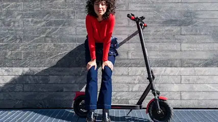 ape-Ant_Amb_2