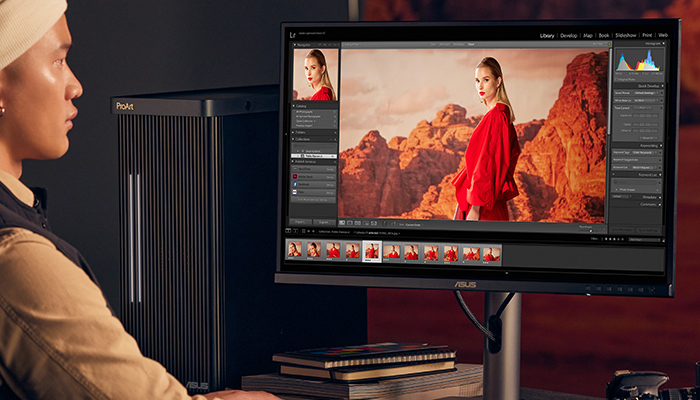 Un uomo guarda un monitor che mostra un'immagine di una donna in un paesaggio desertico. Un computer � a sinistra, con libri sotto il monitor.