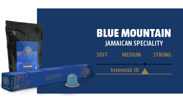 Confezione, scatola e capsula di caff� Blue Mountain con intensit� 10 su sfondo blu.