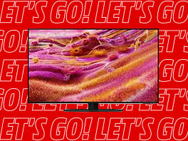 TV 