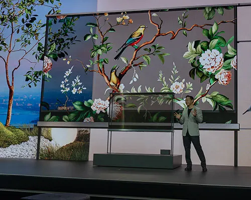 Uomo sul palco davanti a uno schermo con fiori e uccelli. Dietro, paesaggio marino e albero. Espositore centrale con scatola grigia.