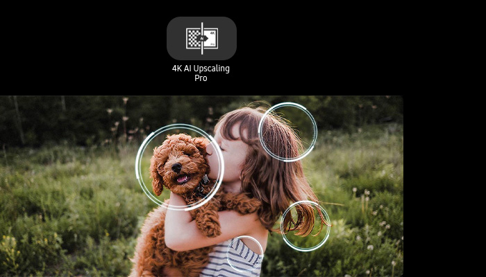 la foto di una bambina che tiene in braccio e bacia il suo cane marroncino e dell'erba di un prato sullo sfondo