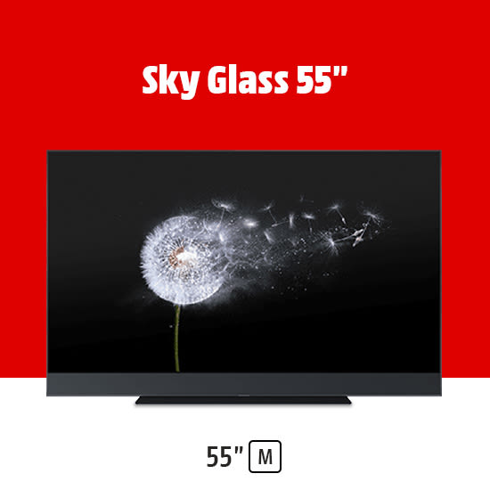 55pollici-sky